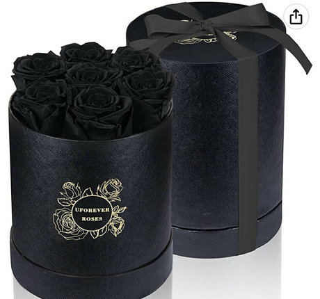 yfpbfree 完璧なスター 画像