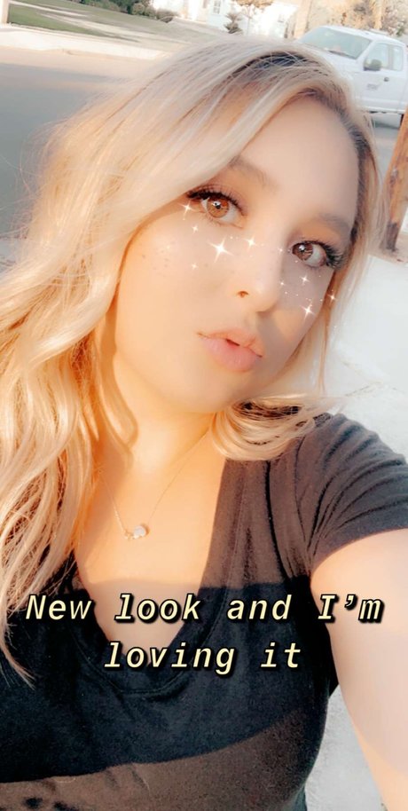 Savanna A 完璧なスター 写真