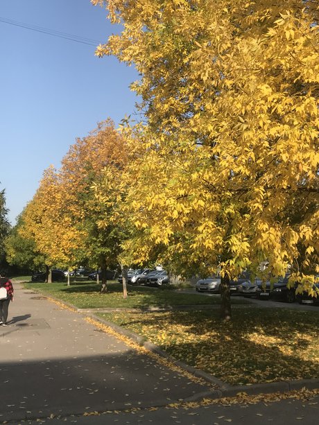 Steph Irl エロティック女優 画像