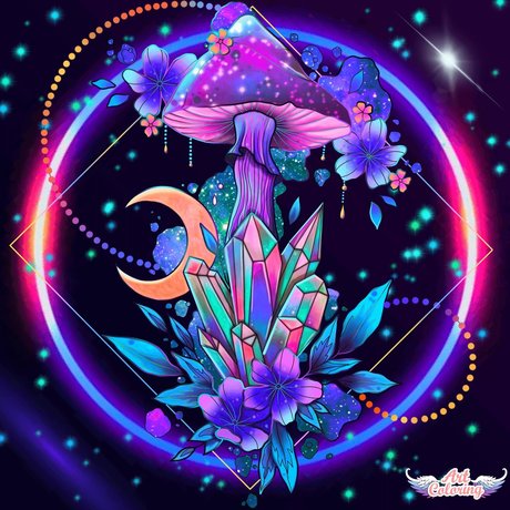 LAVENDER BLUE HDモデル ギャラリー