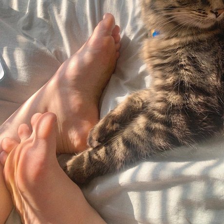 darcy taylor 高品質女優 アーカイブ