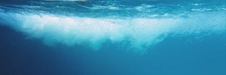 Thom XL ポルノスター エロティック 画像