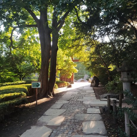 Arikui ヌードスター ギャラリー