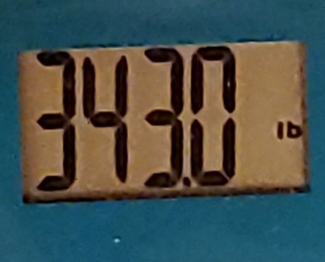 PudgyLovin_ 最高のモデル 写真