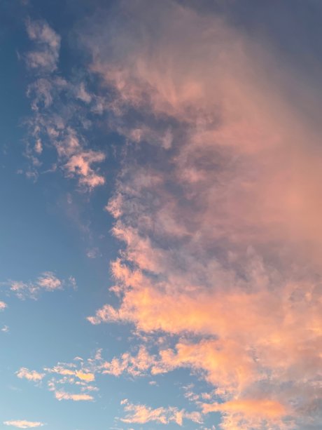 Thickness Williams 無料モデル ギャラリー