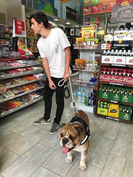 JuanFer 美しい女優 画像