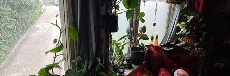 Poisoning Ivy ホットなポルノスター 画像