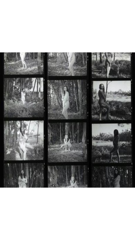 The Naked Bookclub アートモデル 画像