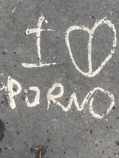 n va ポルノスター ヌード 写真