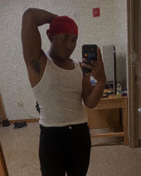 Top Vibes_ ホットなスター 画像