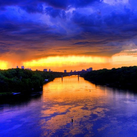 McKenna Brown 高品質のスター ギャラリー