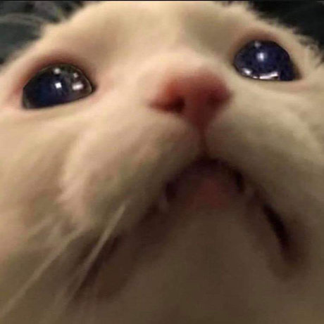 Sam Salemm ポルノスター 写真