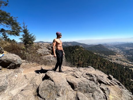 David G セクシーなスター 写真