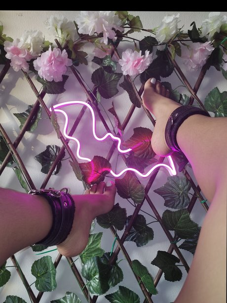 Ch ky Jazy 高品質モデル 画像