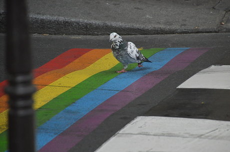 KAMCM93 ヌードモデル 写真