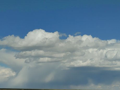 7 Cats ポルノスター アーカイブ