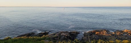 Max Weinbach ヌードモデル 写真