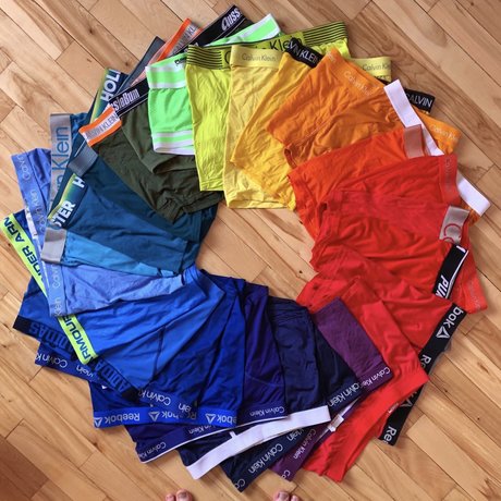 Olifans アートモデル 写真