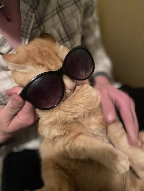 Christian Winning 高品質女優 ギャラリー