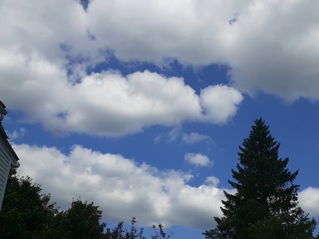 Kingler セックスモデル 写真