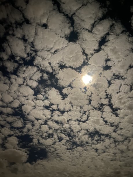 MiSexy HDモデル 写真