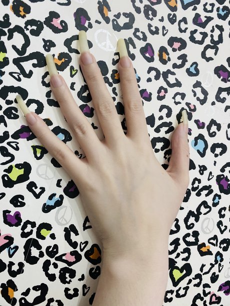 Nailed It エロティック女優 画像