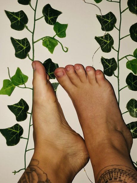 Footsie pie 素敵なスター 画像