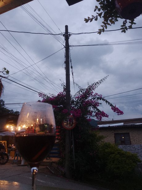 Nico Fox スターセックス 写真