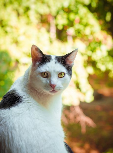 オンリーファンズの動画 素敵 写真