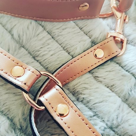 Poppy DuFrance HDポルノスター ギャラリー