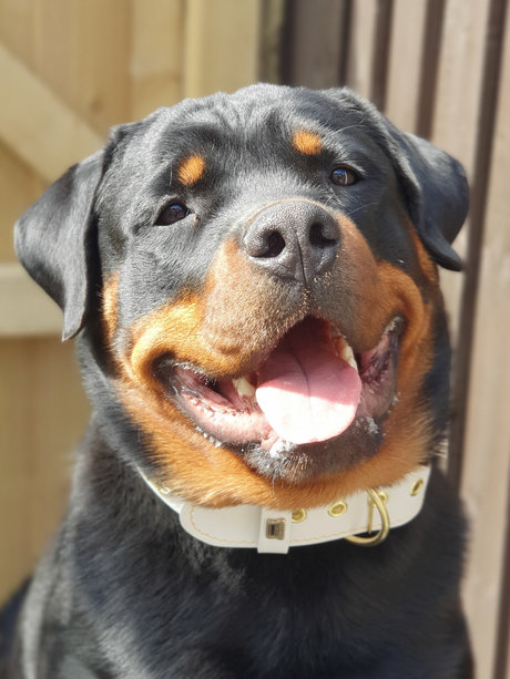 Silkin Day トップモデル アーカイブ