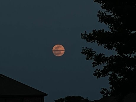 Michael Martinez xxxモデル アーカイブ