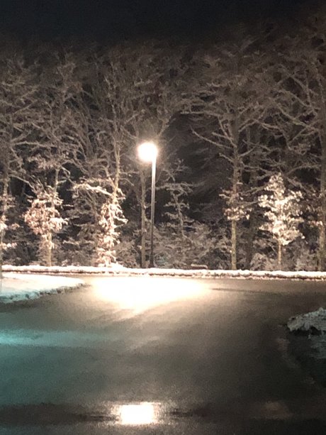 EveryDesire アダルトスター アーカイブ