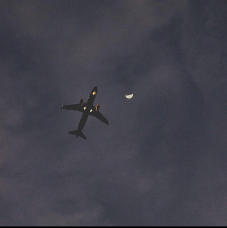 Rashaad_ 美しいスター 写真