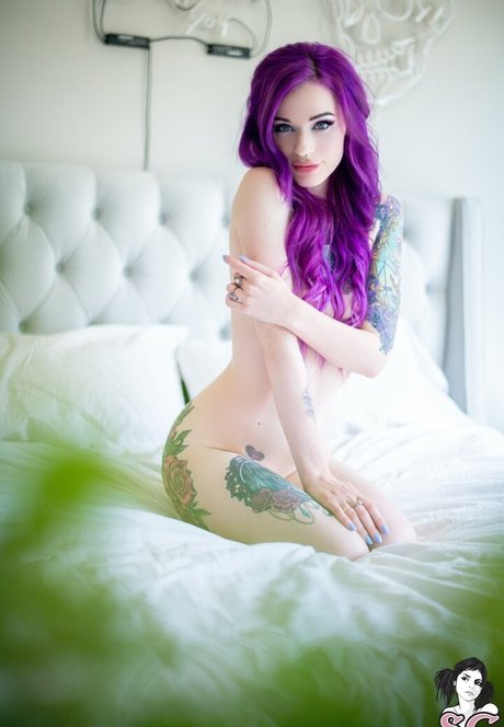 Velvetine SG xxxモデル 画像