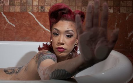 summerrob 最高のスター 写真