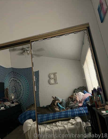 BBWオンリーファン 限定 画像