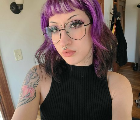 ジンジャーキティオンリーファンズ ホット 画像