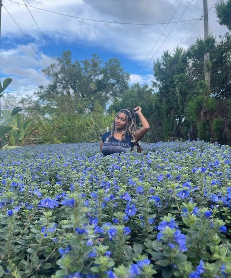 Plantbae ポルノスター 高品質 写真