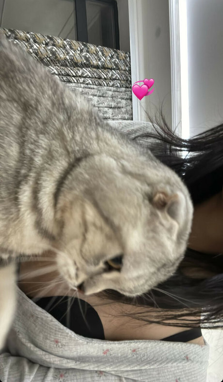 aerri lee 高品質のスター 画像