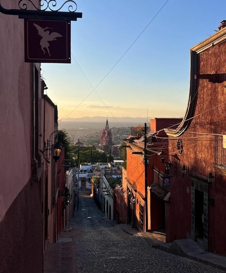 sophiahanvold 女優 写真