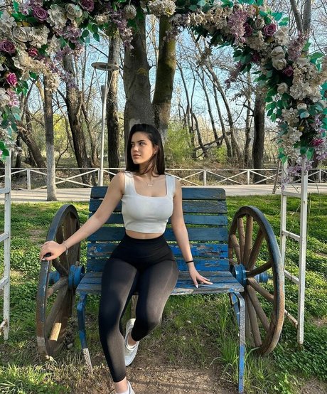 sedaaa026 高品質スター 写真