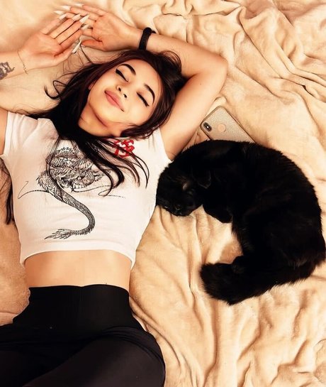 フラットオンリーファン HD ギャラリー