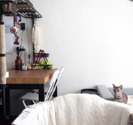 hernamewasdira 高品質女優 写真