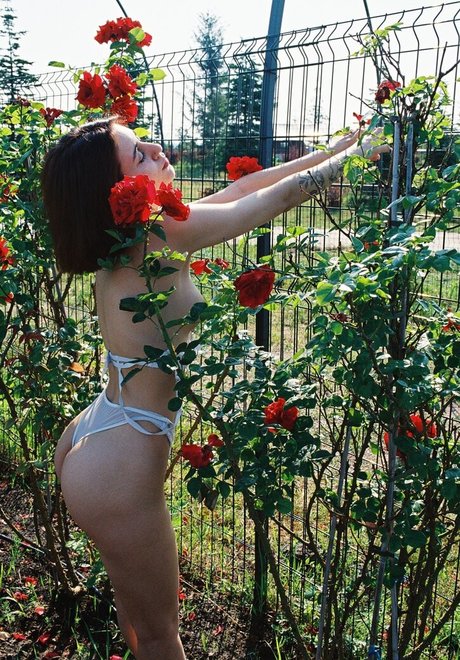 Call Me Elfa 無料スター 写真