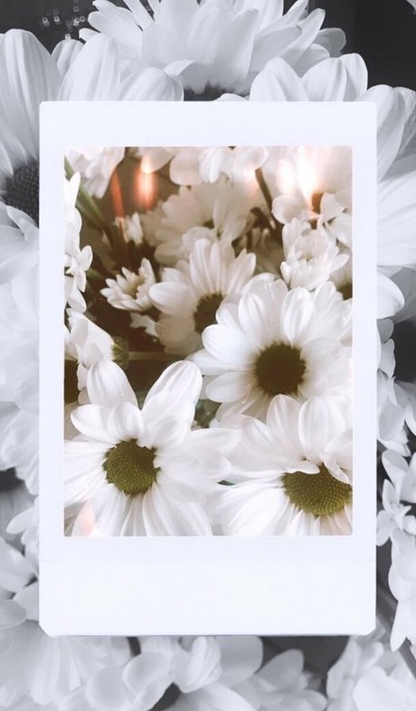 hippie luna ポルノスター アート 画像