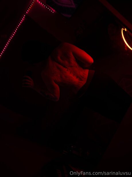 Sarinaluvsu 完璧なスター アーカイブ