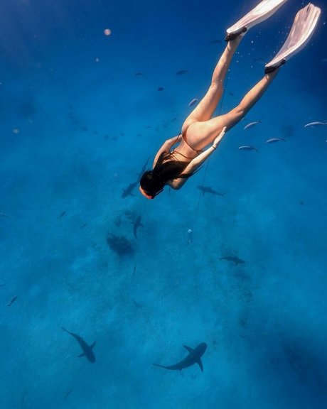 Tara Yummy 最高の女優 アーカイブ