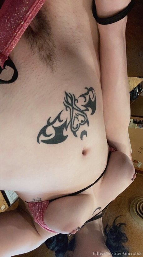 svxxvbvs 完璧なスター 画像