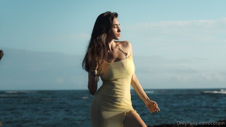 エボニートップオンリーファン 美しい裸 画像